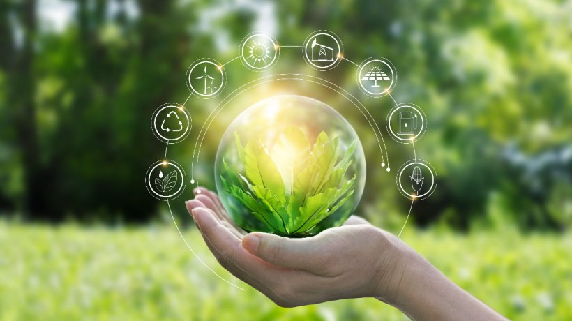 Green L&D: How To Drive Eco-Friendly Company Practices