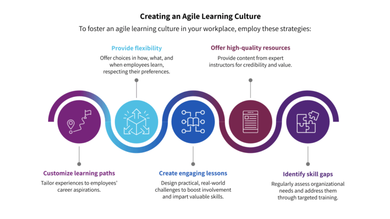 Creating an agile learning culture